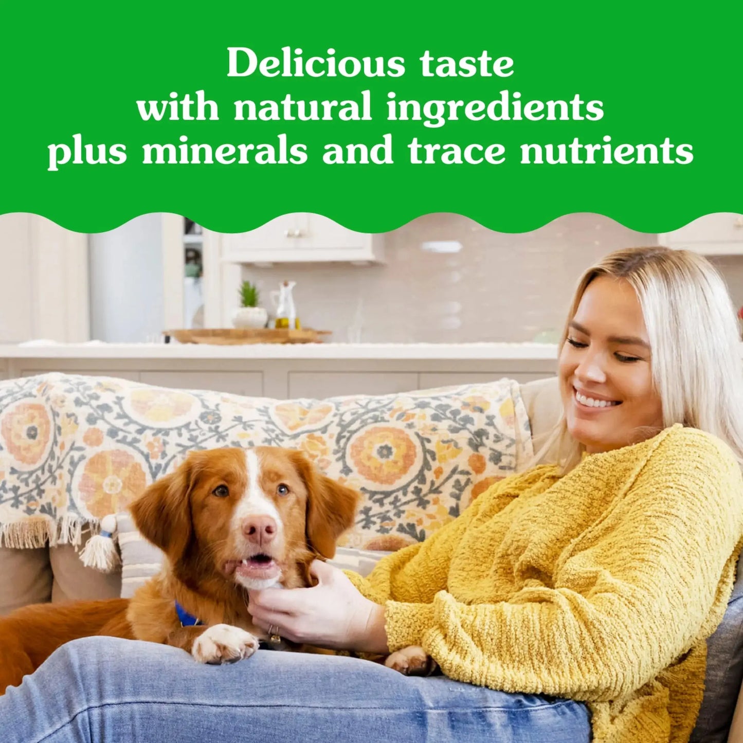 Pill Pockets for Dogs Peanut Butter Large, Capsule Size Soft Dog Treats, 15.8 Oz, (60 Pk)