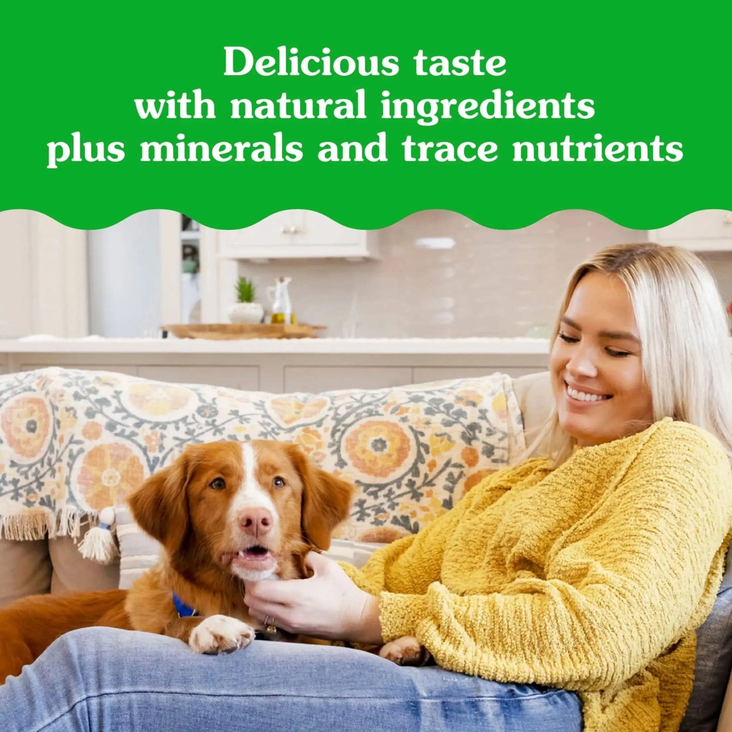Pill Pockets for Dogs Peanut Butter Large, Capsule Size Soft Dog Treats, 15.8 Oz, (60 Pk)