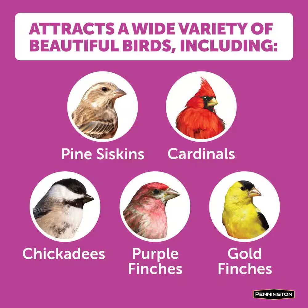 Ultimate 7 Lb. Nut and Fruit Bird Seed Food Blend (2-Pack)