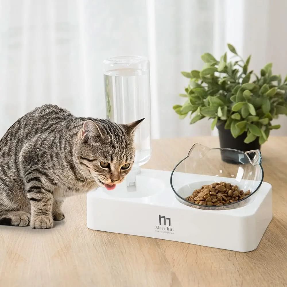 Elevated Double Pet Bowl Set for Dogs and Cats, 15° Tilted Design for Enhanced Comfort, Ideal for Kittens, Puppies, and Small to Medium Breeds