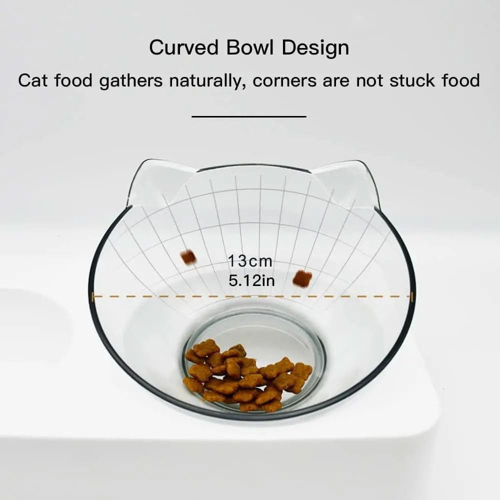 Elevated Double Pet Bowl Set for Dogs and Cats, 15° Tilted Design for Enhanced Comfort, Ideal for Kittens, Puppies, and Small to Medium Breeds