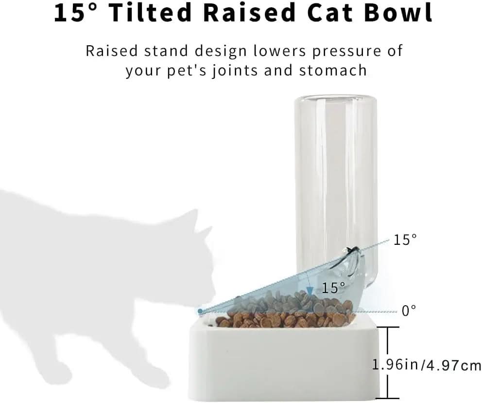 Elevated Double Pet Bowl Set for Dogs and Cats, 15° Tilted Design for Enhanced Comfort, Ideal for Kittens, Puppies, and Small to Medium Breeds