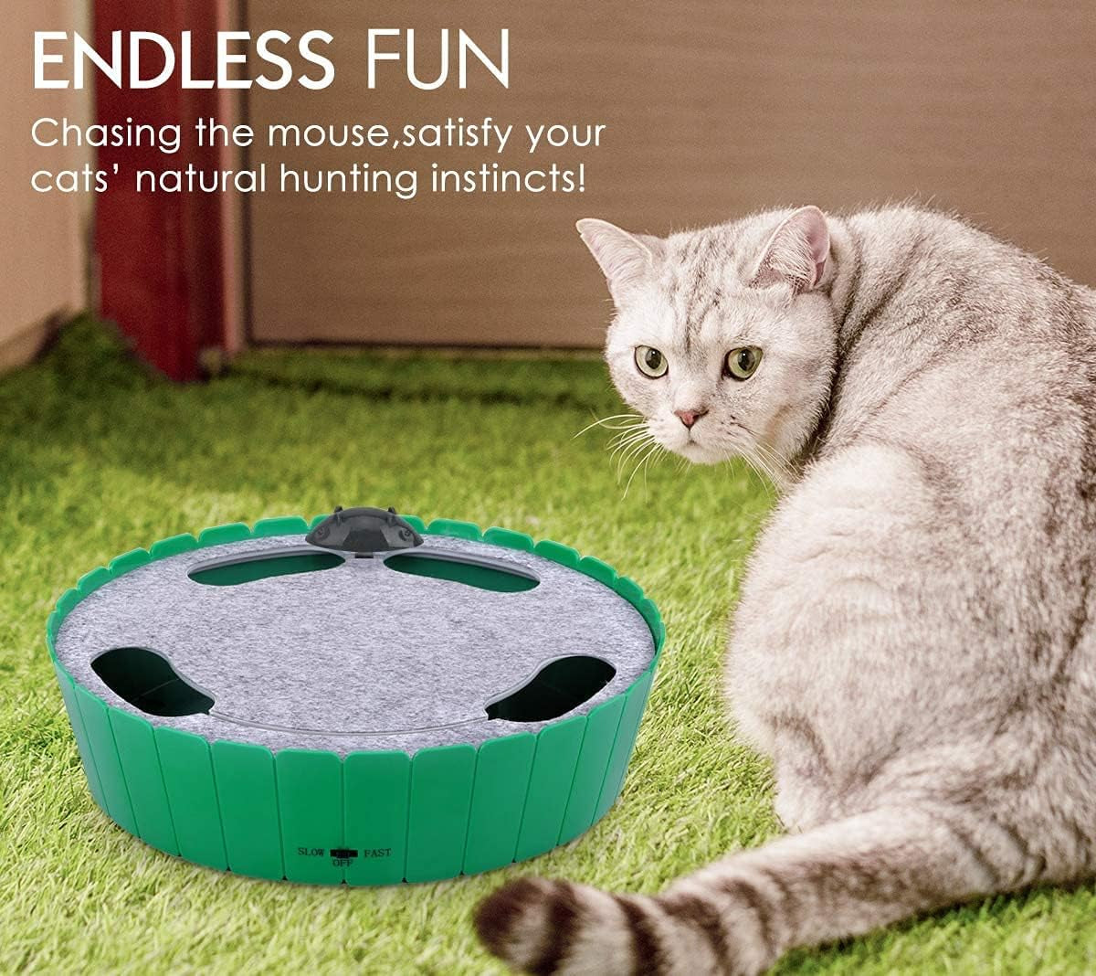 Interactive Cat Toy with Running Mouse - Automatic Electronic Teaser for Indoor Cats, Engaging Hide and Seek Play for Kittens and Adult Cats, Green