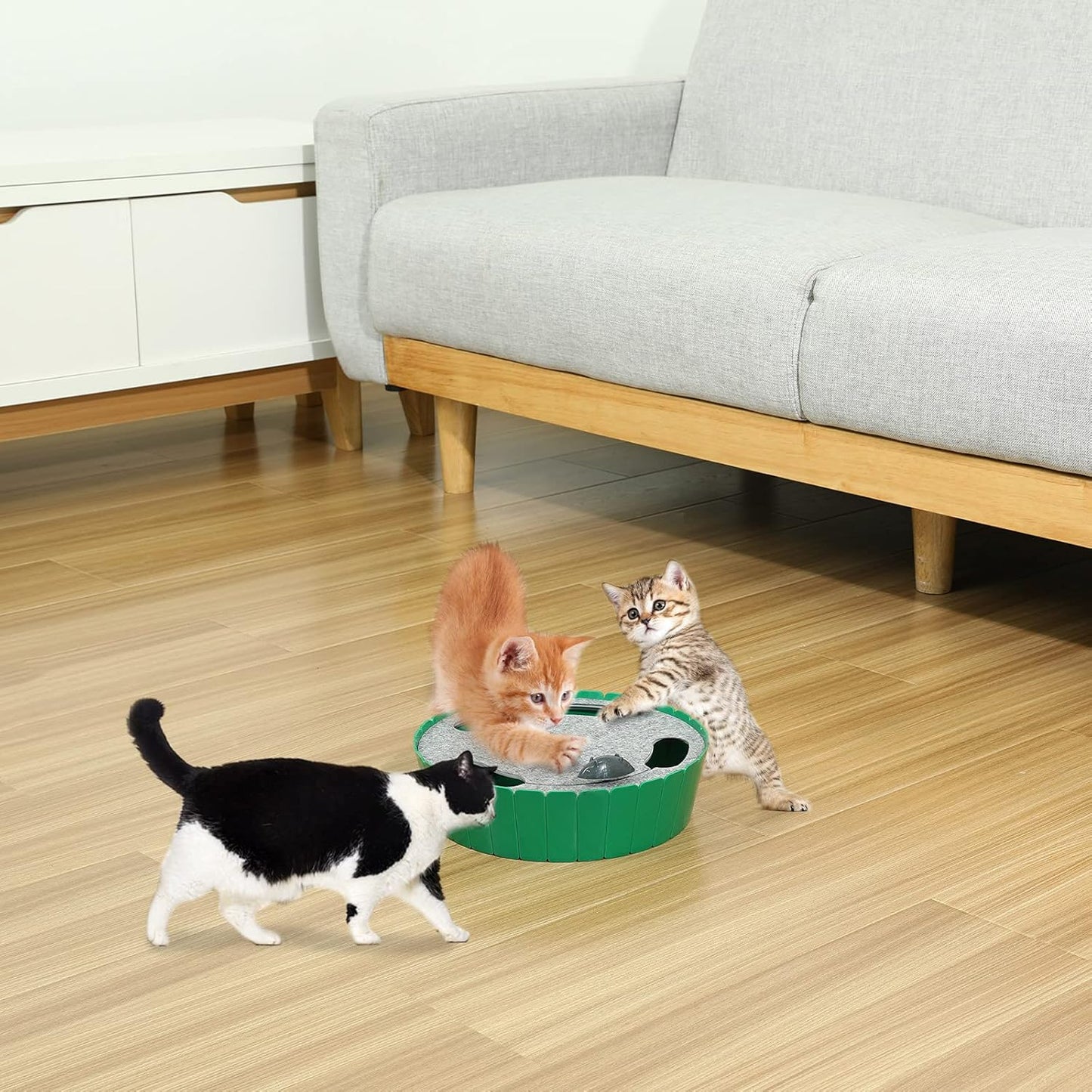 Interactive Cat Toy with Running Mouse - Automatic Electronic Teaser for Indoor Cats, Engaging Hide and Seek Play for Kittens and Adult Cats, Green