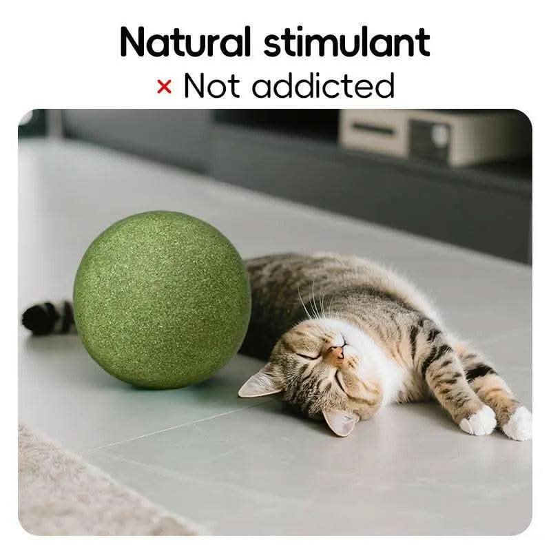 Extra-Large Size Natural Cat Mint Ball, 10 Cm in Diameter, Solid, Edible, Natural Cat Mint Toy, a Fun Toy for Cats