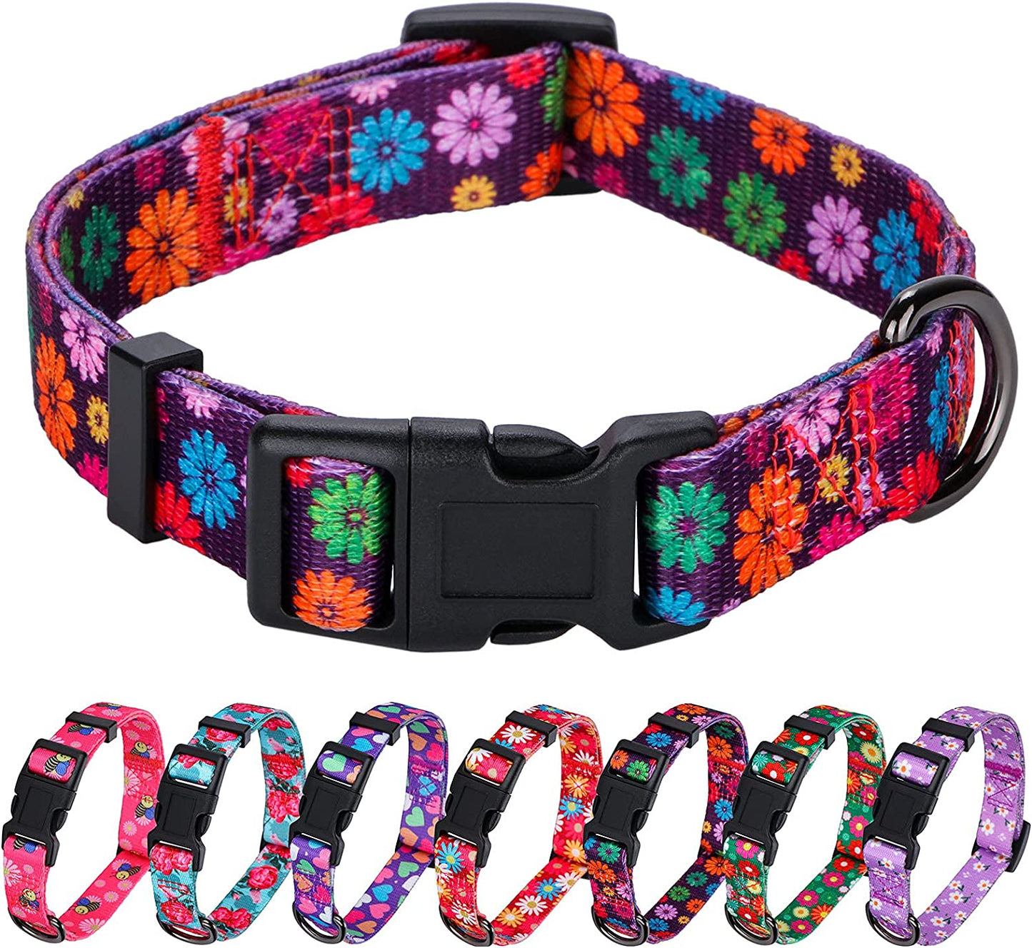 Large Dark Purple Dog Collar for Girls - Fall Daisy Pattern with Colorful Floral Print