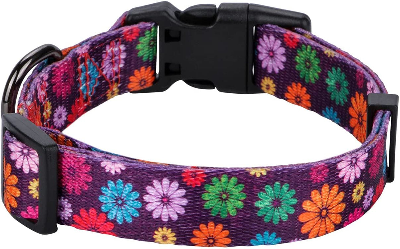 Large Dark Purple Dog Collar for Girls - Fall Daisy Pattern with Colorful Floral Print