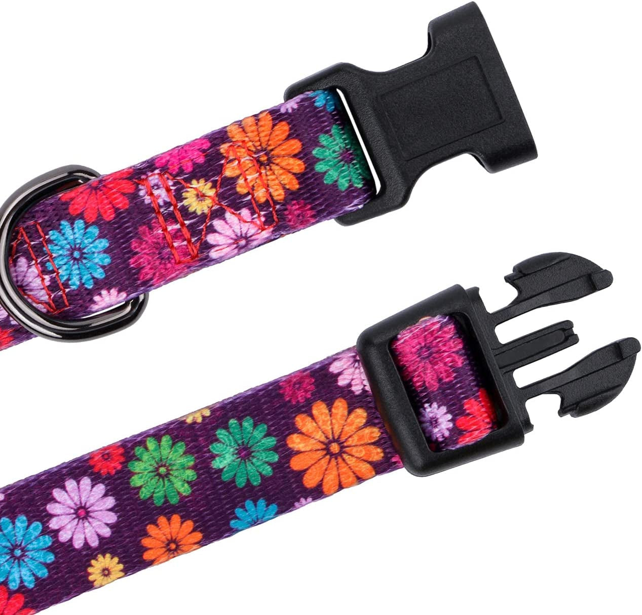 Large Dark Purple Dog Collar for Girls - Fall Daisy Pattern with Colorful Floral Print