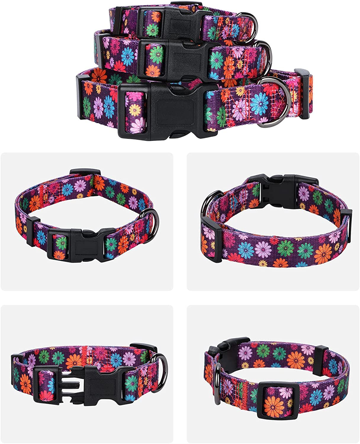 Large Dark Purple Dog Collar for Girls - Fall Daisy Pattern with Colorful Floral Print