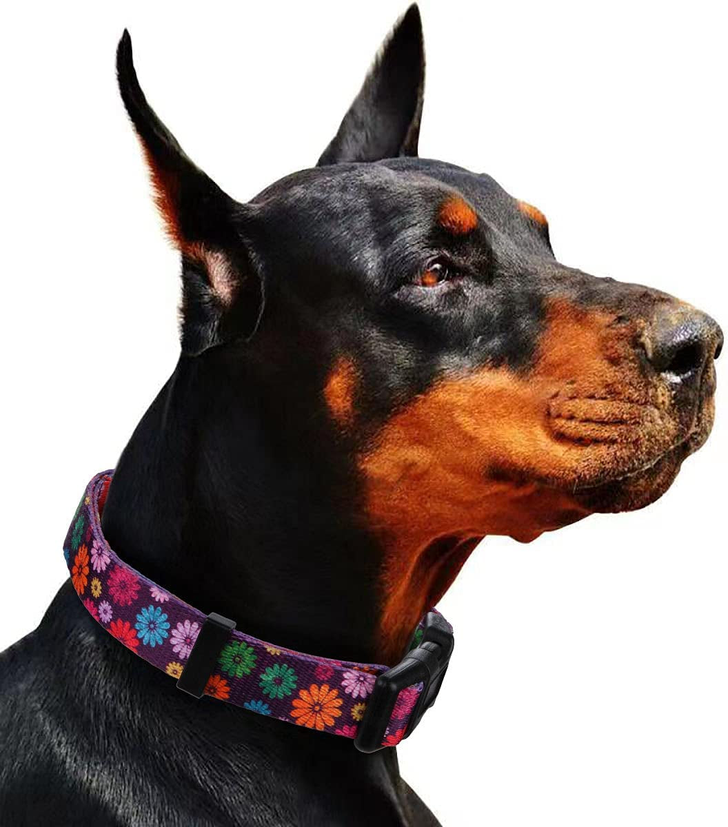 Large Dark Purple Dog Collar for Girls - Fall Daisy Pattern with Colorful Floral Print