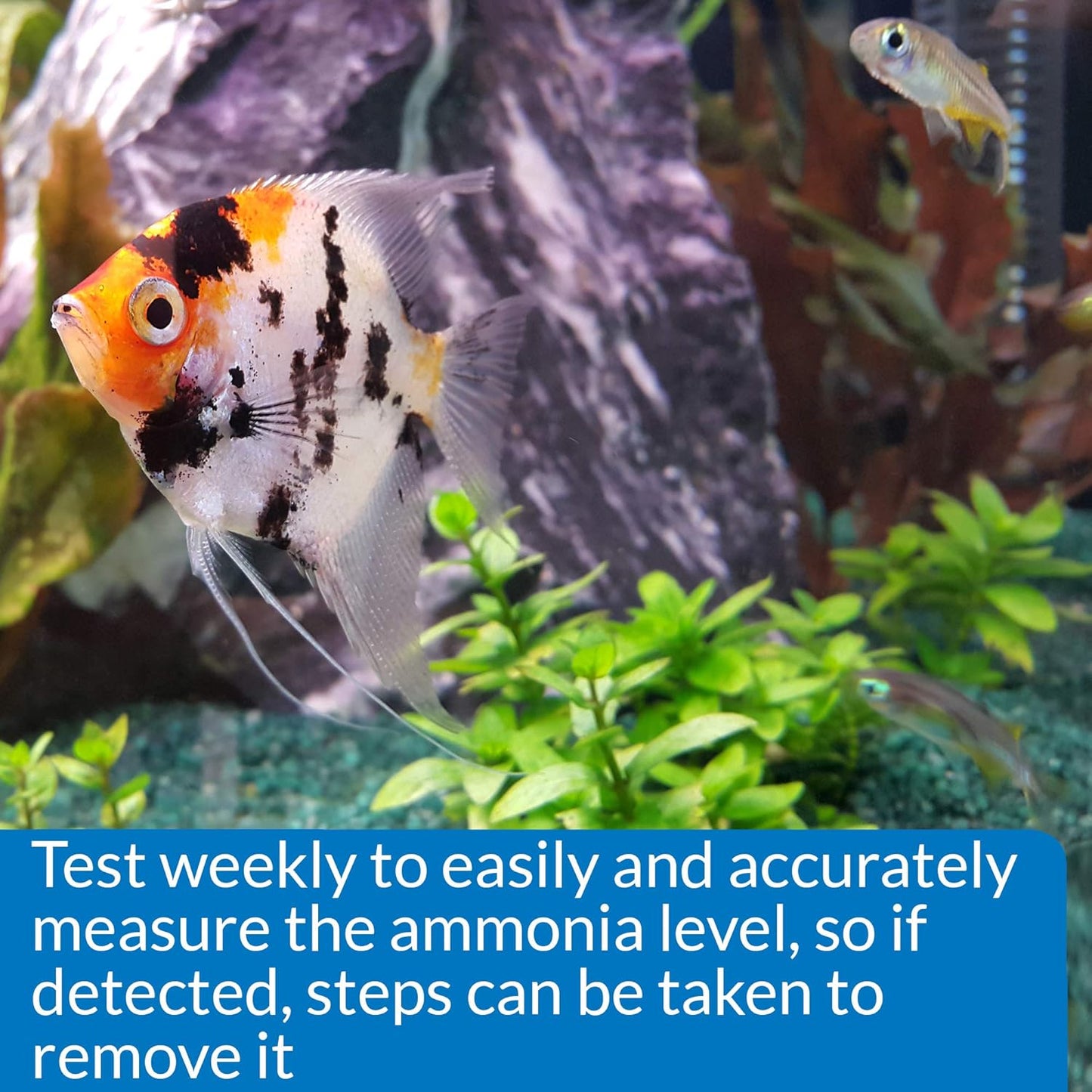 Ammonia 130-Test Kit for Freshwater and Saltwater Aquariums