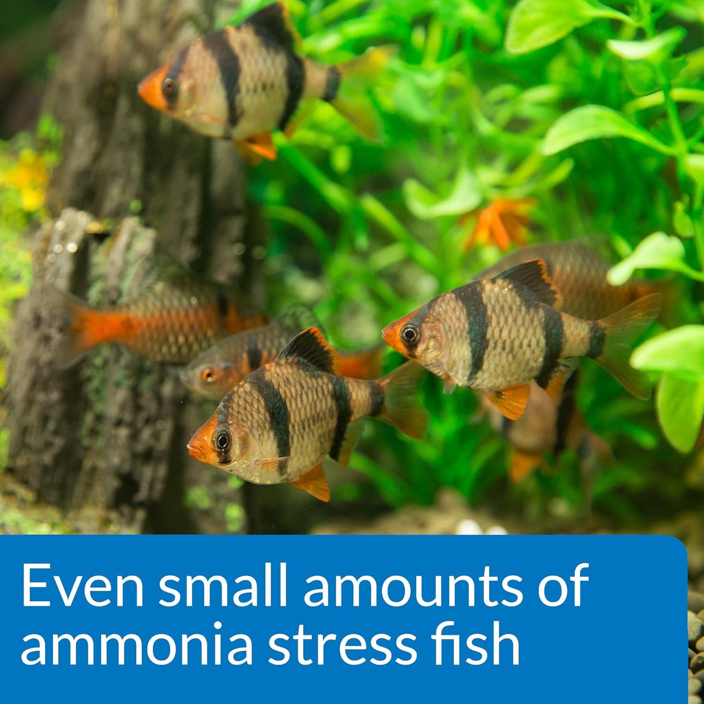 Ammonia 130-Test Kit for Freshwater and Saltwater Aquariums