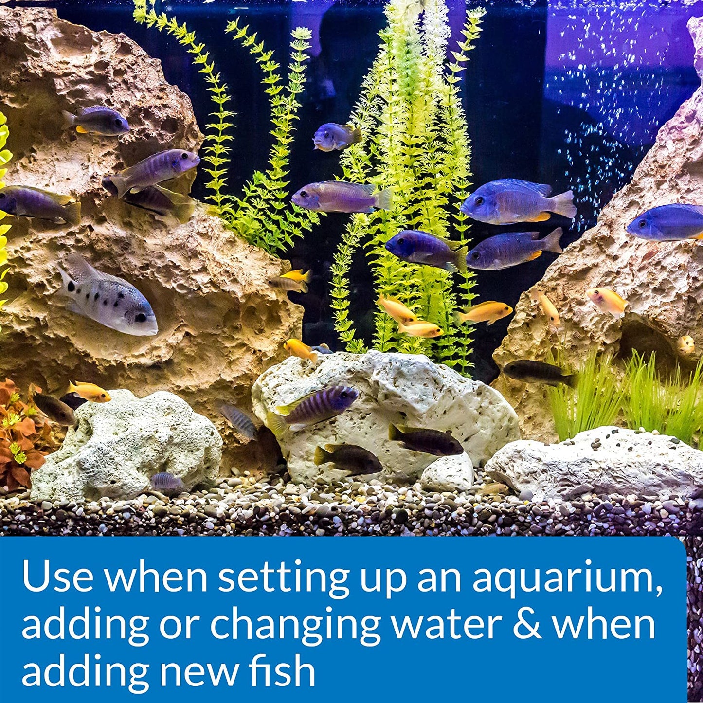 Stress Coat Aquarium Water Conditioner - 16 oz Bottle