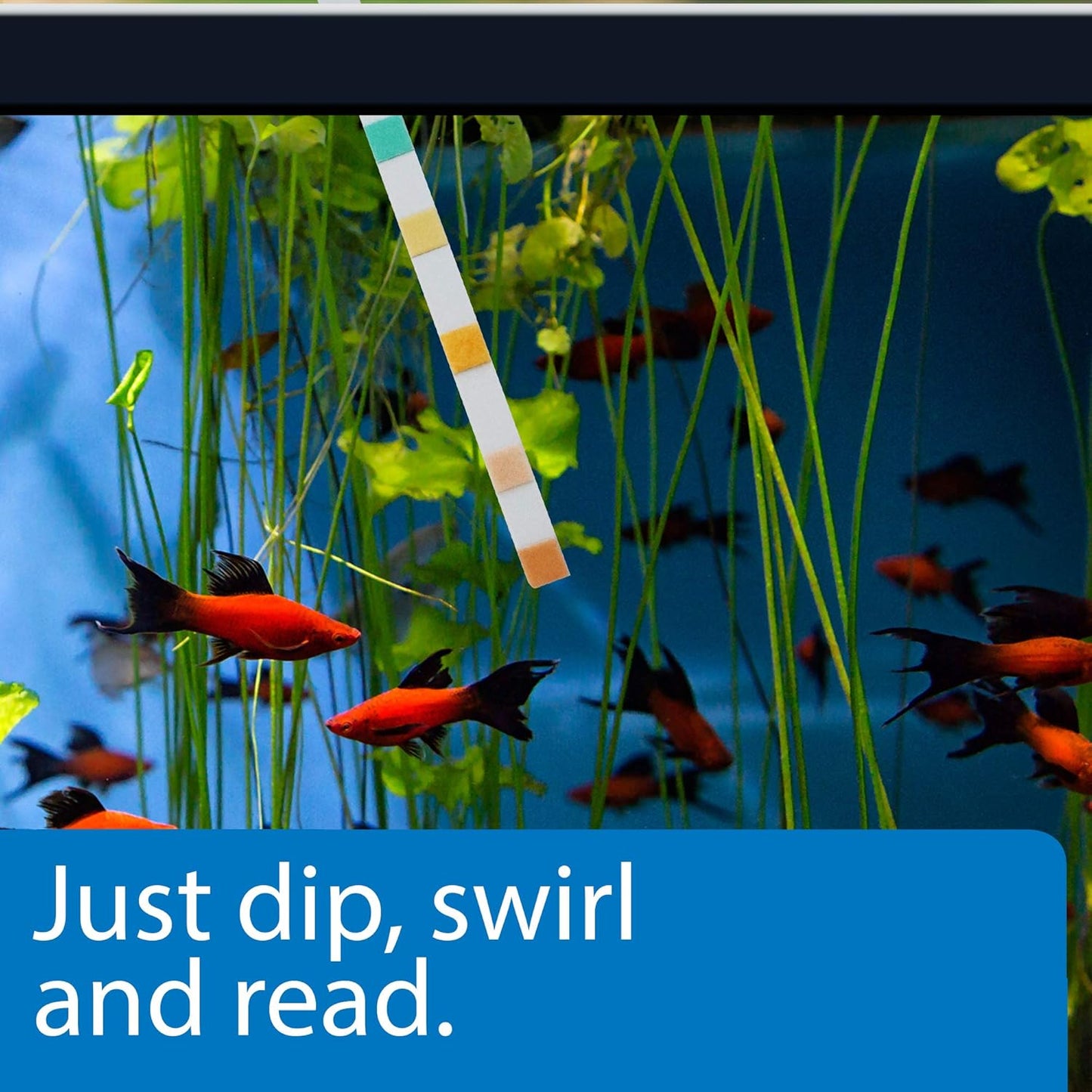 5-in-1 Aquarium Test Strips for Freshwater and Saltwater - 100 Count Box