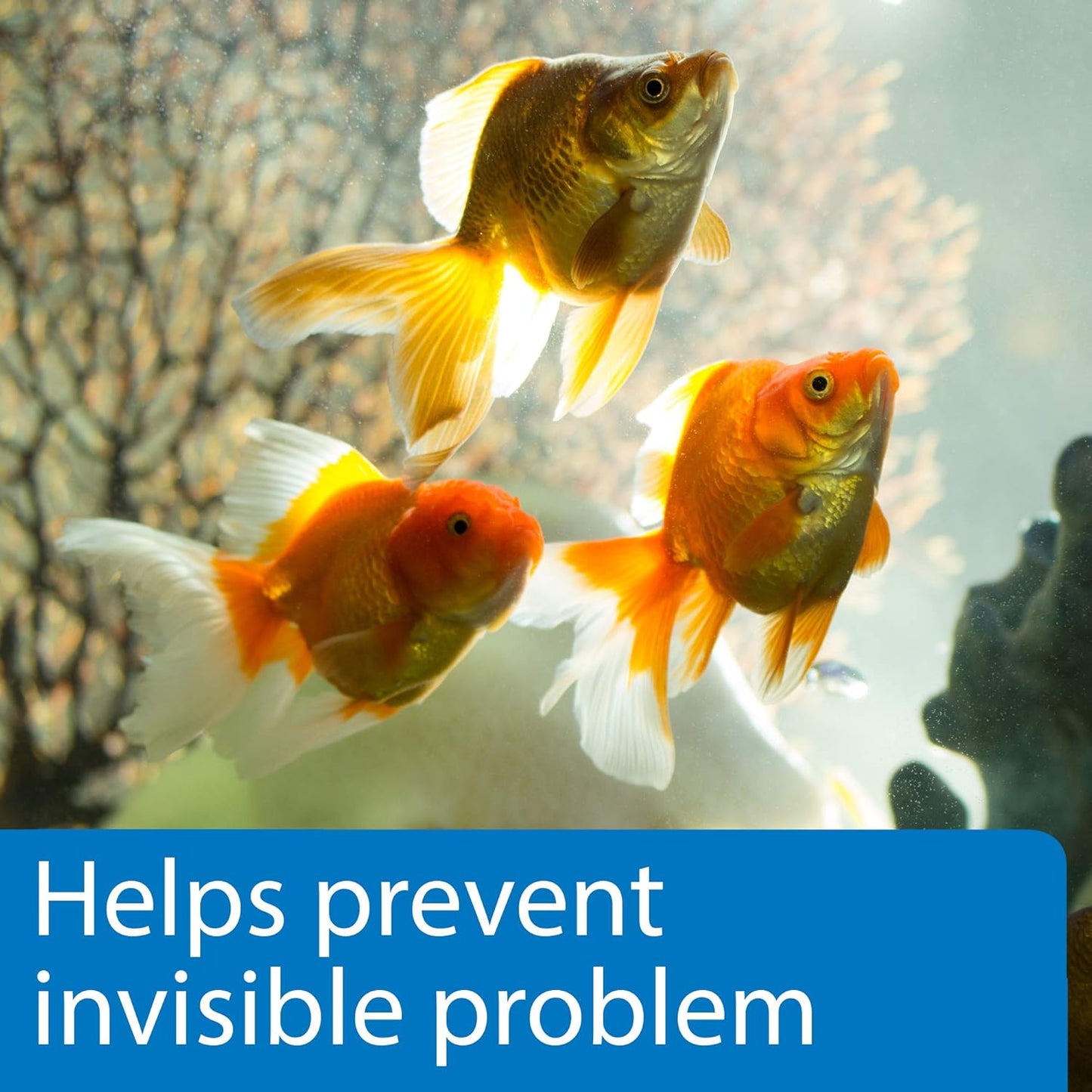 5-in-1 Aquarium Test Strips for Freshwater and Saltwater - 100 Count Box