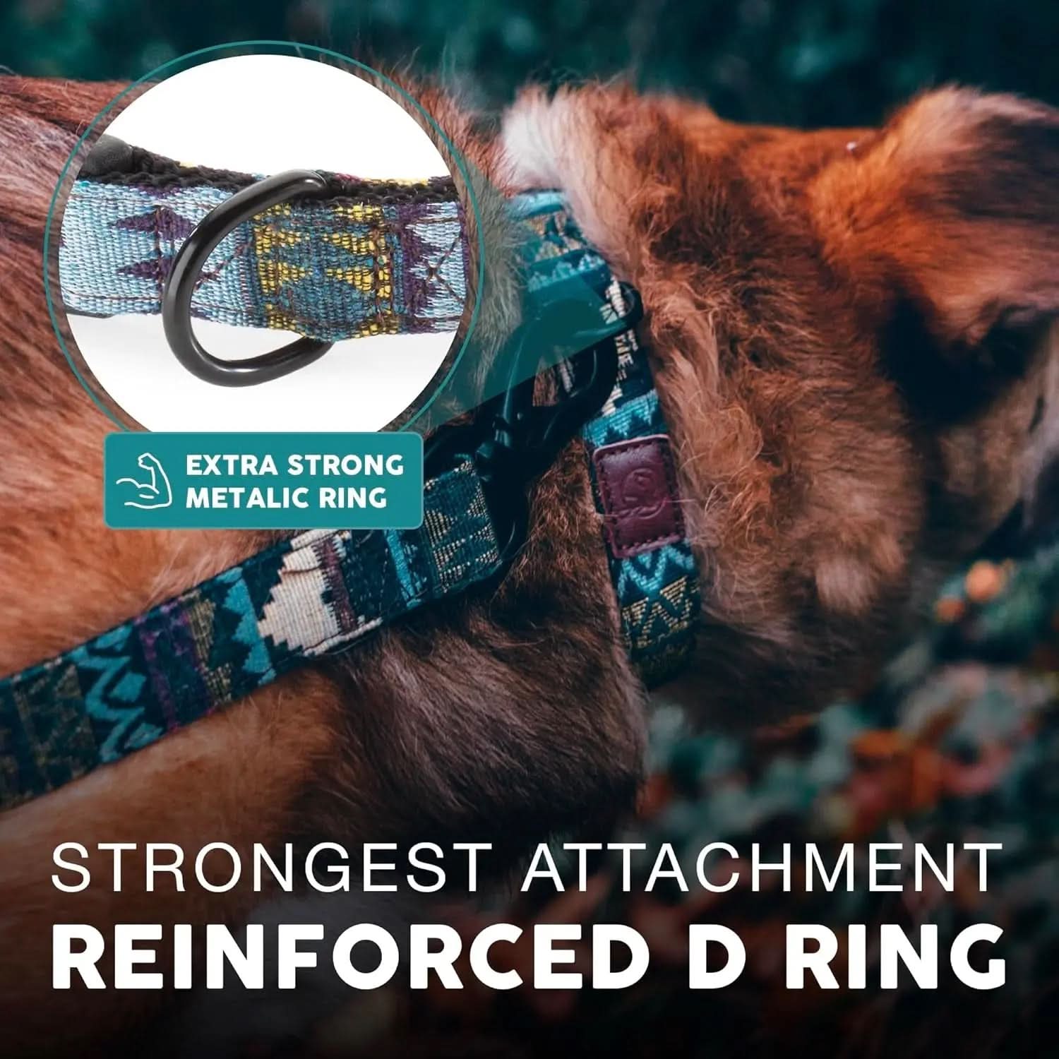 Embark Adventure Dog Collar - Premium Adjustable Nylon Collars for Large Breeds with Robust Buckles and Enhanced Comfort