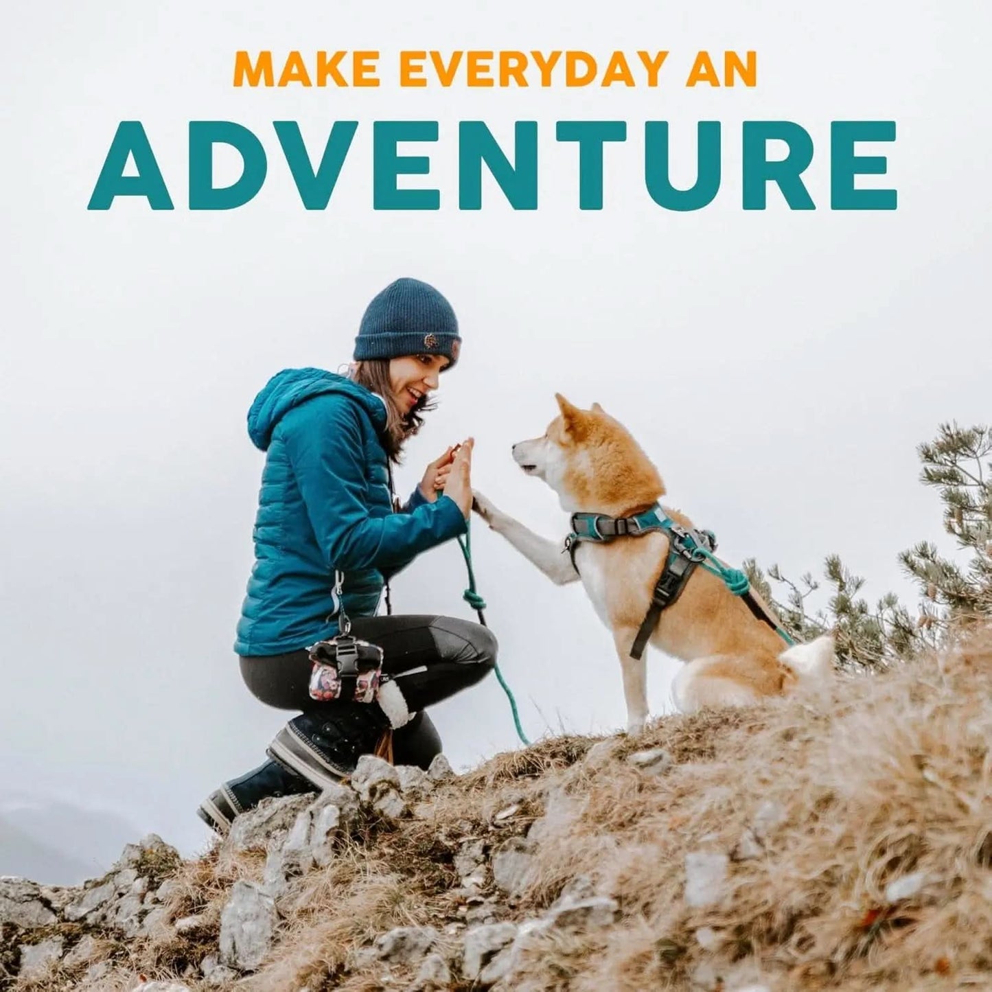 Embark Adventure Dog Collar - Premium Adjustable Nylon Collars for Large Breeds with Robust Buckles and Enhanced Comfort