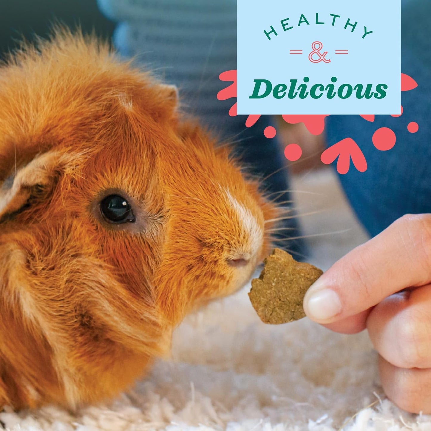 Animal Health Organic Barley Biscuit Treats for Guinea Pigs and Rabbits - Carrot and Apple Flavor, 2.65 Oz Bag
