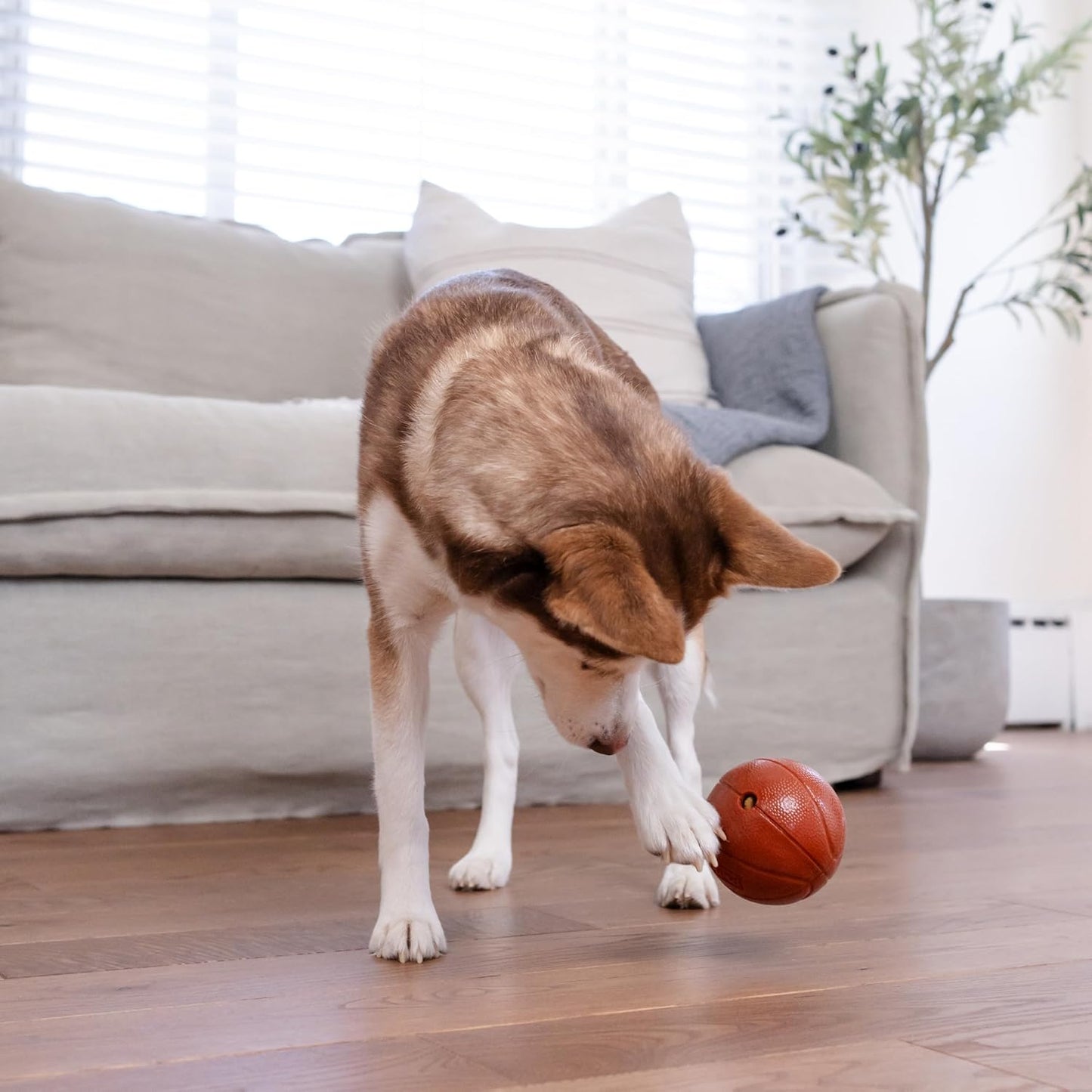 Planet Dog Basketball - Durable Treat-Dispensing Dog Ball, Interactive Fetch Toy, Orbee-Tuff Material, Mint Scented, BPA-Free, Suitable for Indoor and Outdoor Play, Brown