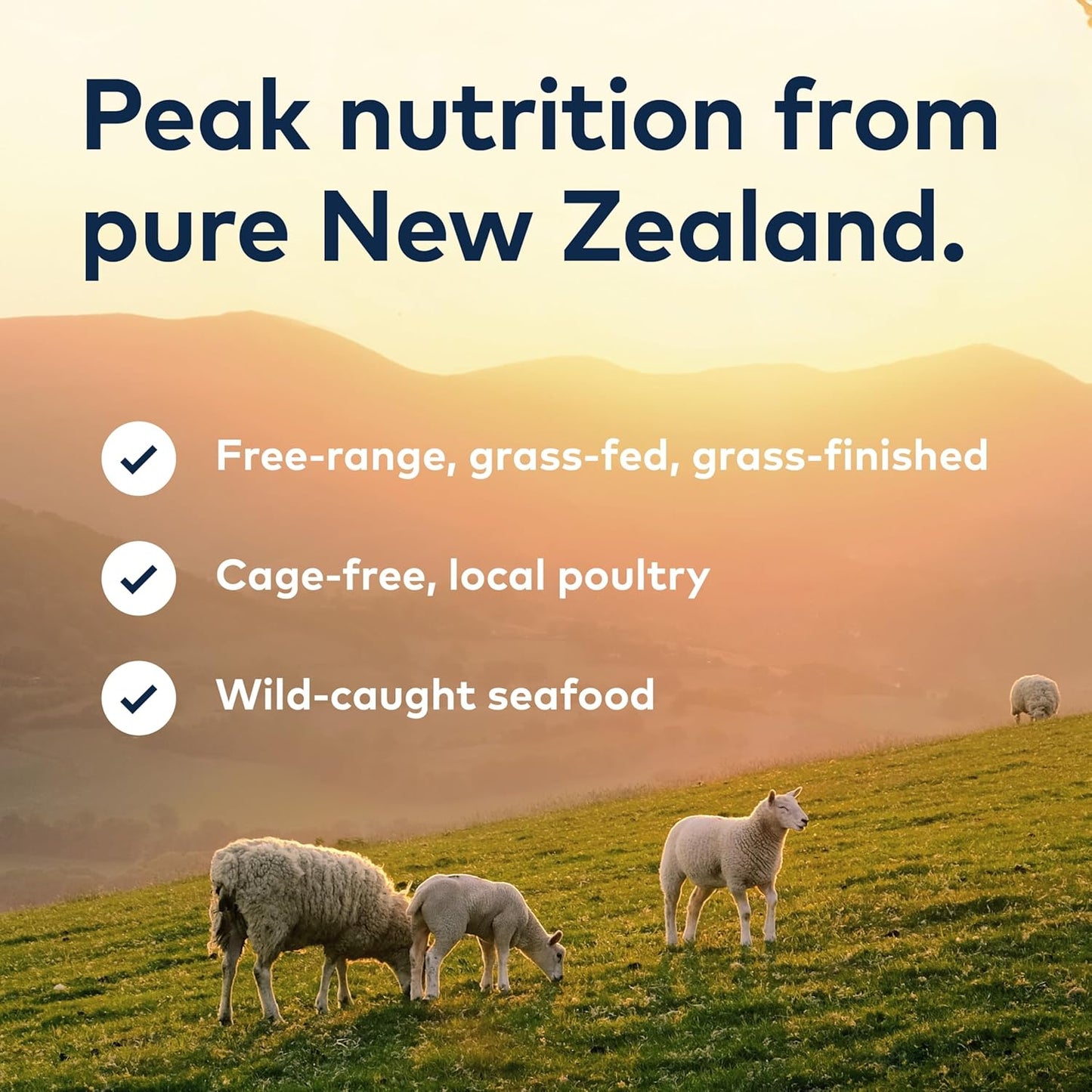 Peak Air-Dried Dog Food - Beef Flavor, All-Natural, High Protein, Grain-Free, Limited Ingredient with Superfoods (16 oz)