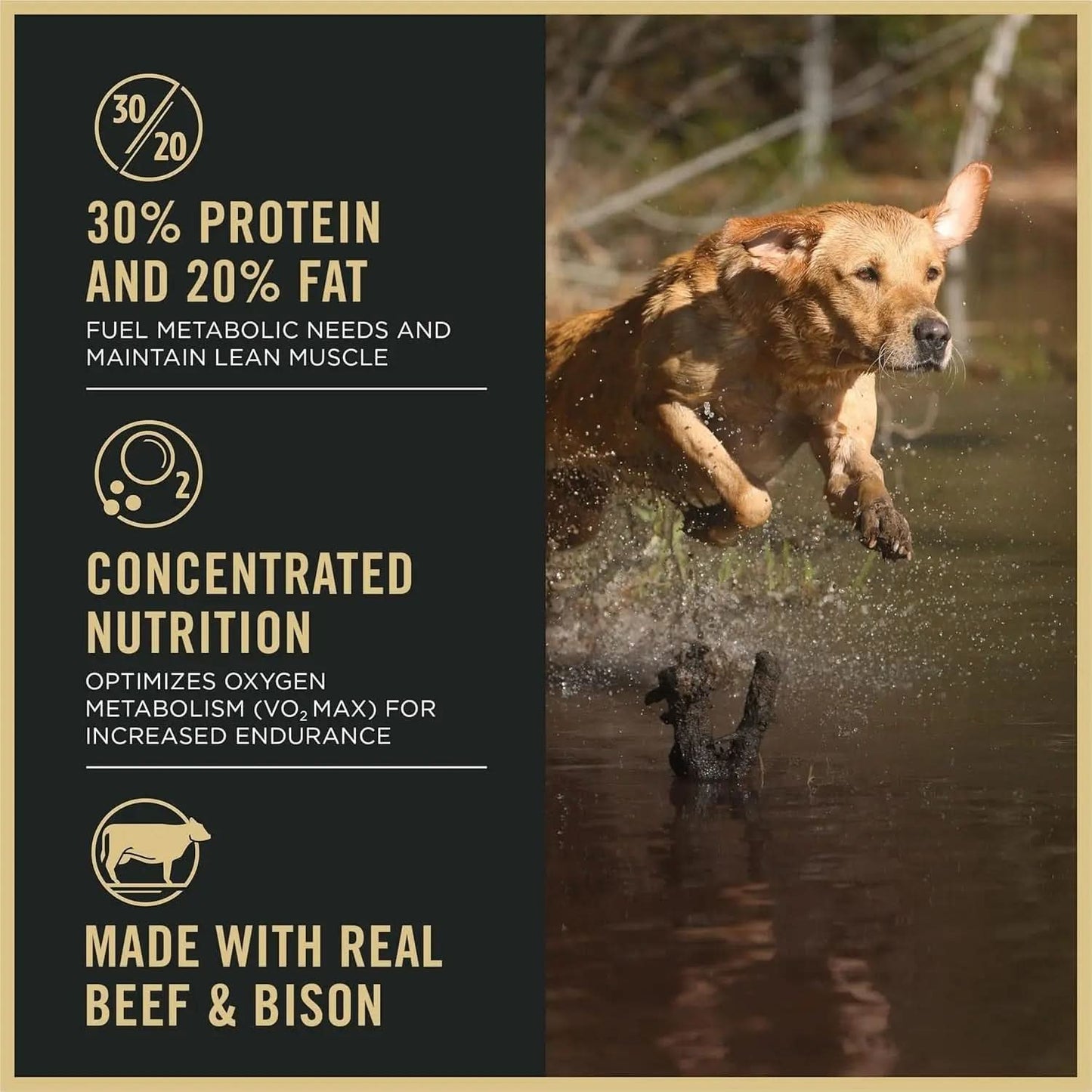 Sport Performance 30/20 Beef and BISON Dry Dog Food - 33 lb Bag