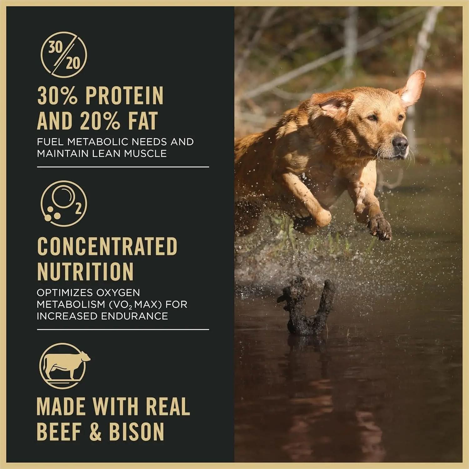 Sport Performance 30/20 Beef and BISON Dry Dog Food - 33 lb Bag