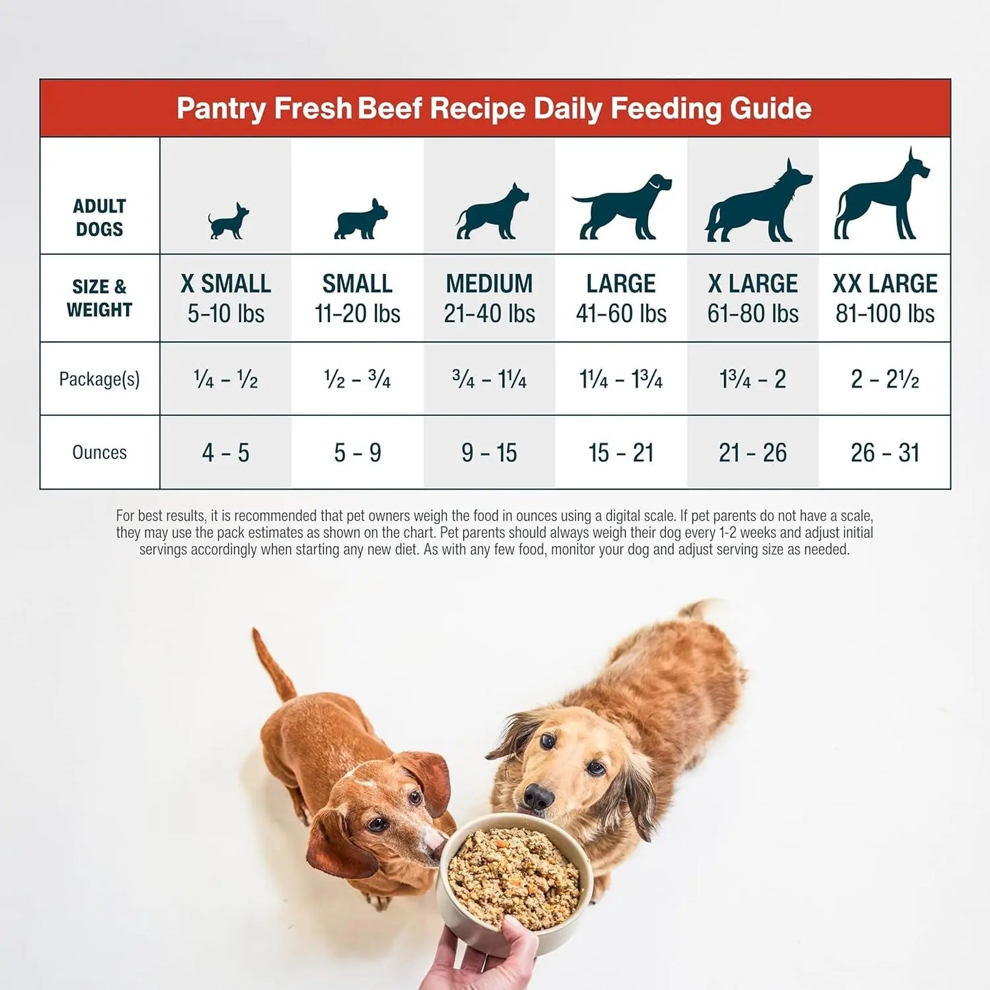 Pantry Fresh Wet Dog Food - Complete Meal or Topper, Beef & Russet Potato, Human-Grade Recipe, 12.5 Oz (Pack of 6)
