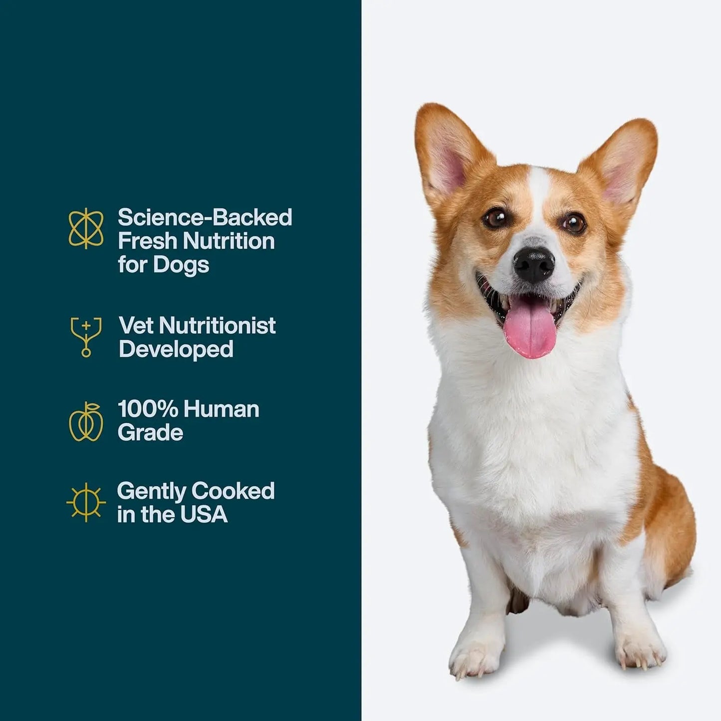 Pantry Fresh Wet Dog Food - Complete Meal or Topper, Beef & Russet Potato, Human-Grade Recipe, 12.5 Oz (Pack of 6)