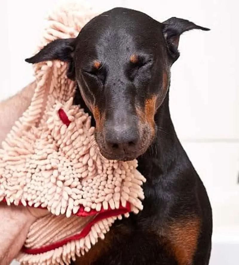 Soggy Doggy Super Shammy Microfiber Chenille Towel for Efficient Dog Drying and Paw Cleaning - Quick-Dry Design with Hand Pockets (Beige/Red Trim, 31” x 14”)