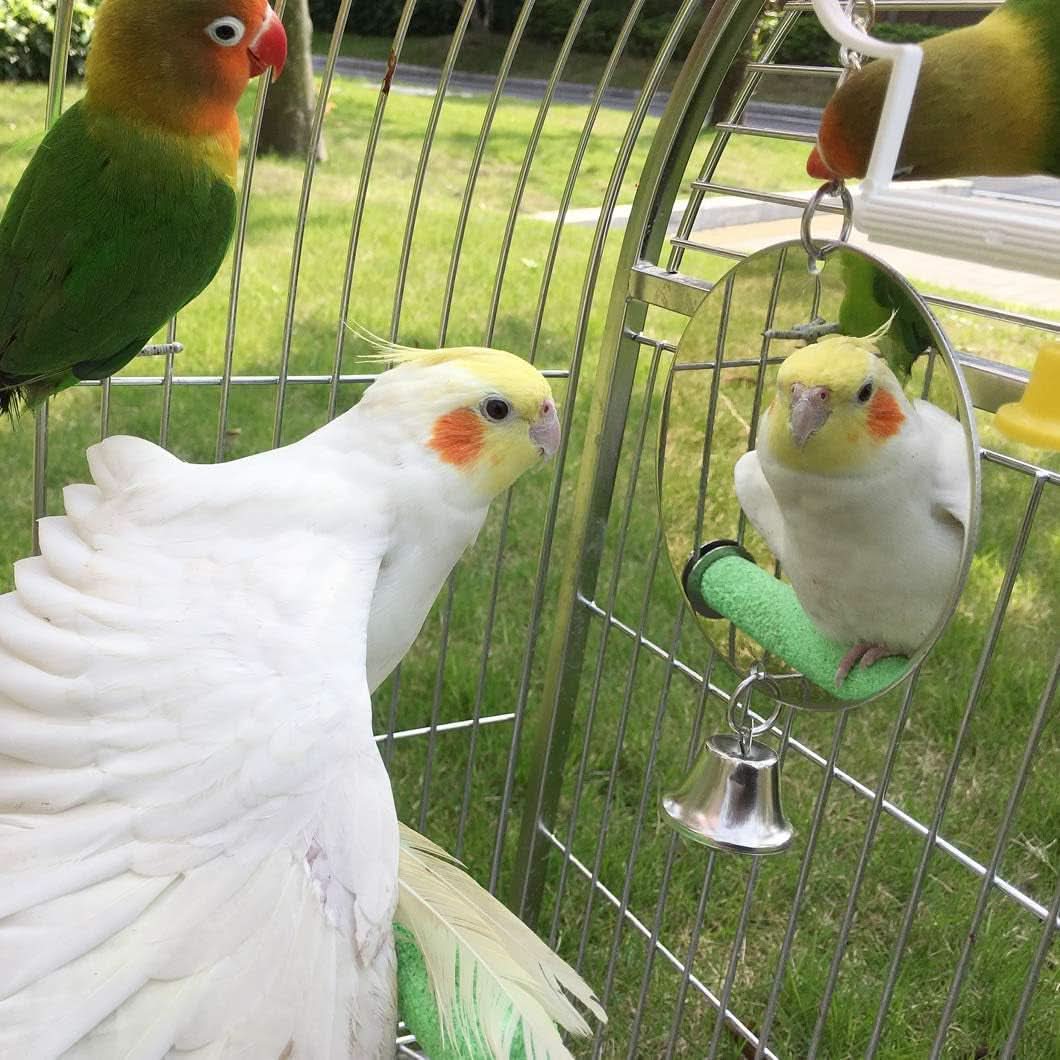Hanging Bird Mirror Toy with Bells for Parakeets, Cockatiels, Conures, Lovebirds, Finches, and Canaries - Engaging Cage Swing Play Accessory (Bird Mirror with 1 Bell)