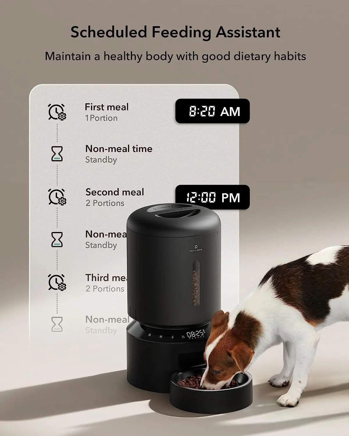 Automatic Pet Feeder for Cats and Dogs with Timer, Low Food, Motion, and Sound Alerts, 4L Capacity