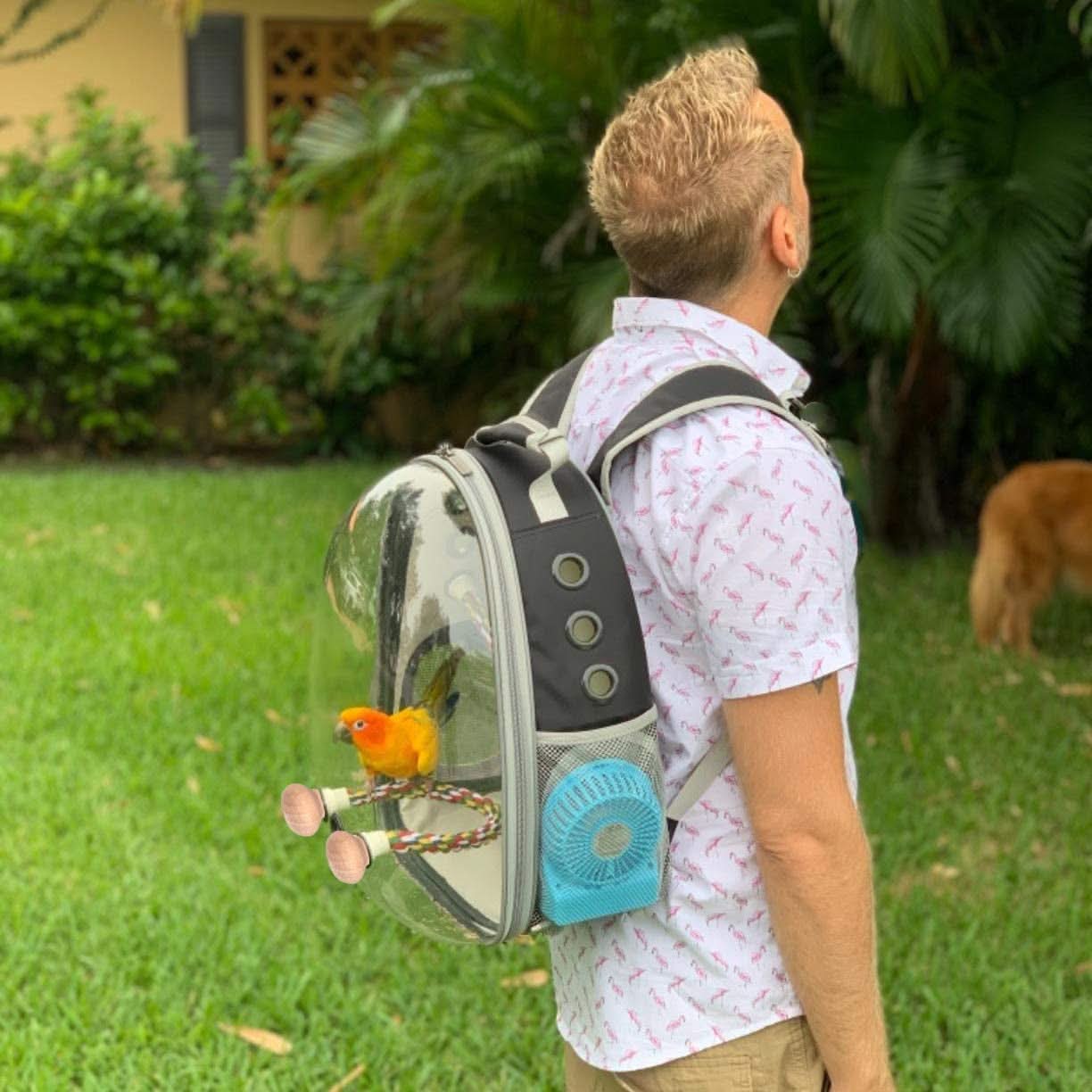 Premium Bird Travel Carrier, Transparent Space Capsule Backpack for Parakeets, Cockatiels, and Parrots with Metal Tray and Wood Perch, Ideal for Veterinary Transport and School Use