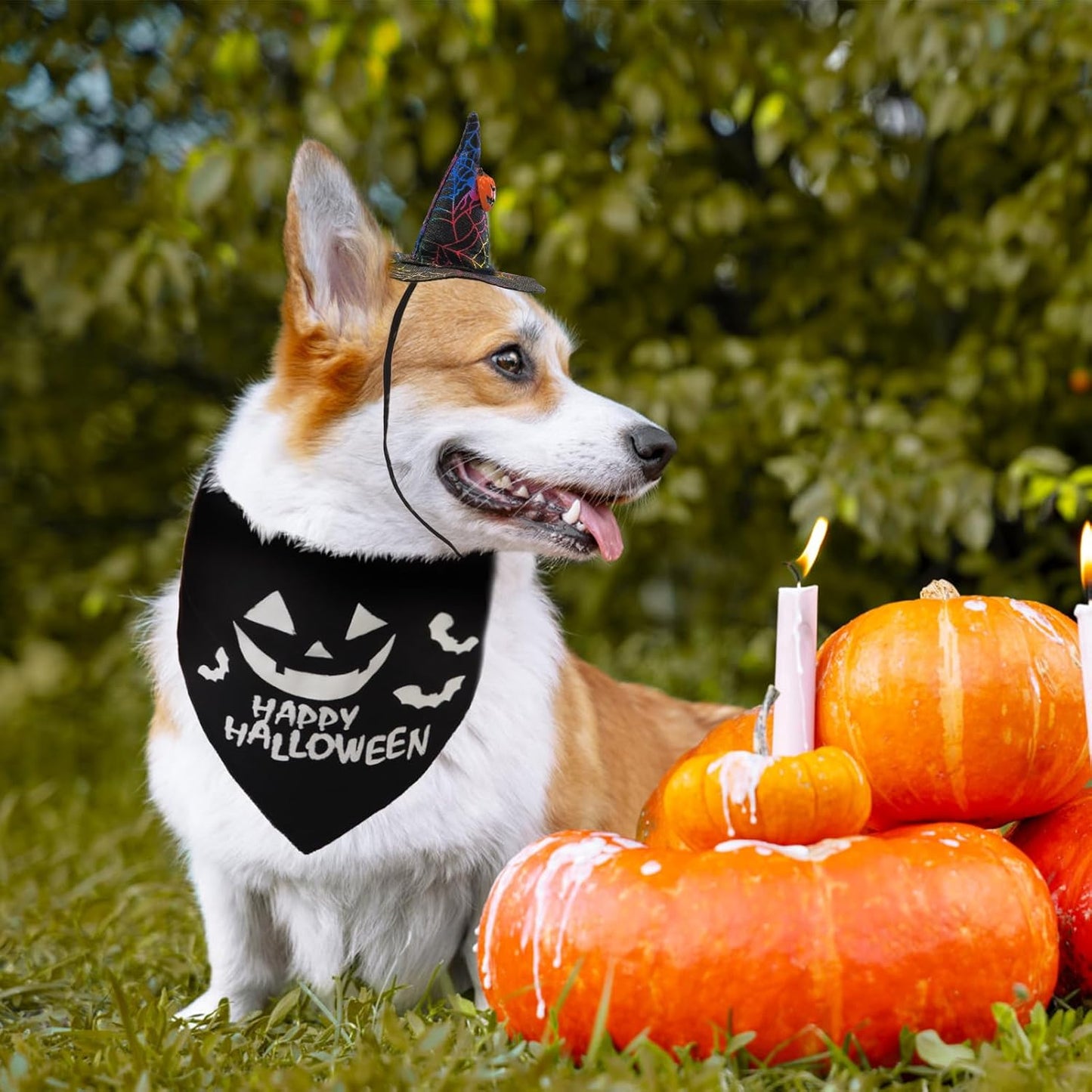 Halloween Dog Bandanas with Adorable Wizard Hat and Pumpkin Design - Costumes and Decorations for Small to Large Dogs