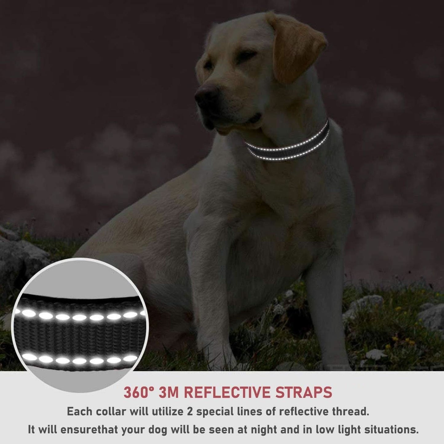 Adjustable Reflective Nylon Dog Collar with Buckle for Small, Medium, and Large Dogs - Black, Medium Size