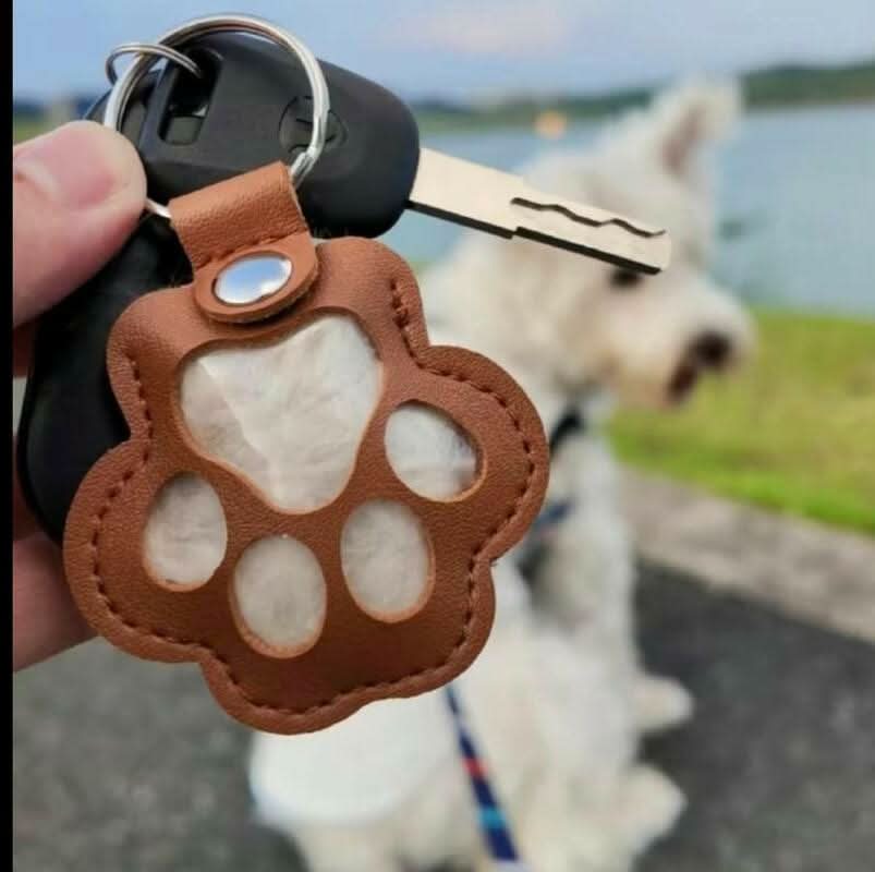Pet Commemorative Keychain Storage for Dogs, Cats, Fur, Dog Claws, Pendants, Pet Hair Storage