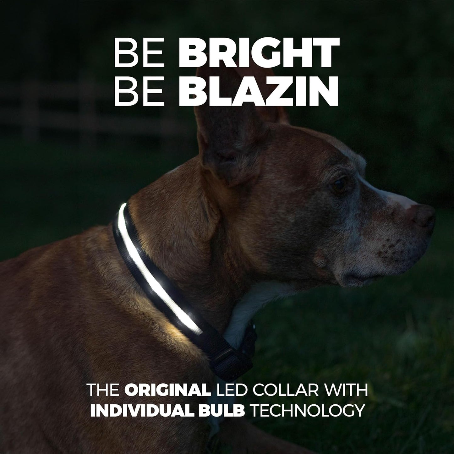 LED Dog Collar - Original Rechargeable Waterproof Design with 1,000 Feet Visibility - Suitable for Small, Medium, and Large Dogs - US Brand