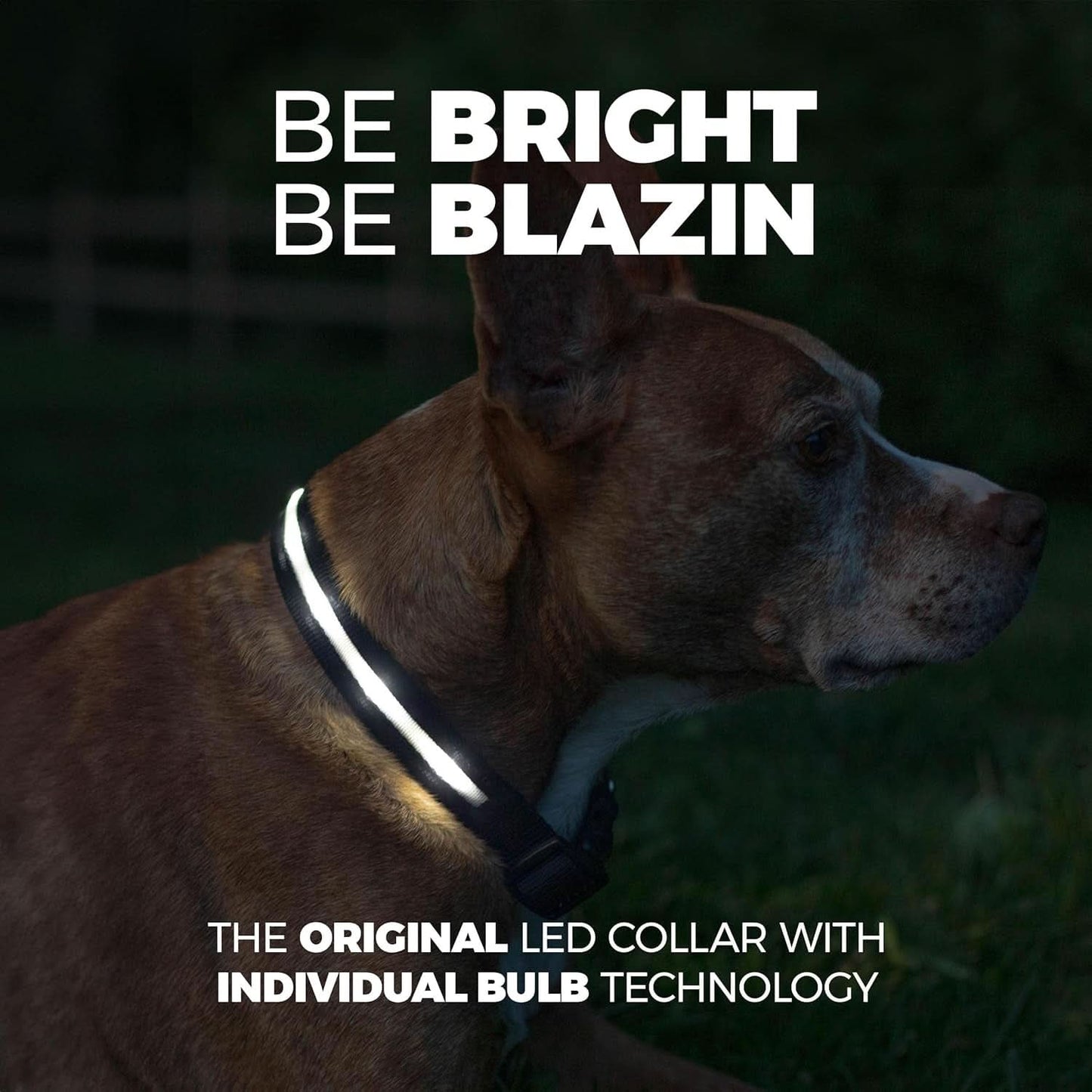 LED Dog Collar - Original Rechargeable Waterproof Design with 1,000 Feet Visibility - Suitable for Small, Medium, and Large Dogs - US Brand