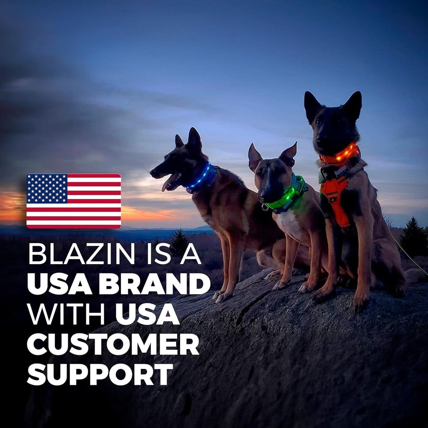 LED Dog Collar - Original Rechargeable Waterproof Design with 1,000 Feet Visibility - Suitable for Small, Medium, and Large Dogs - US Brand