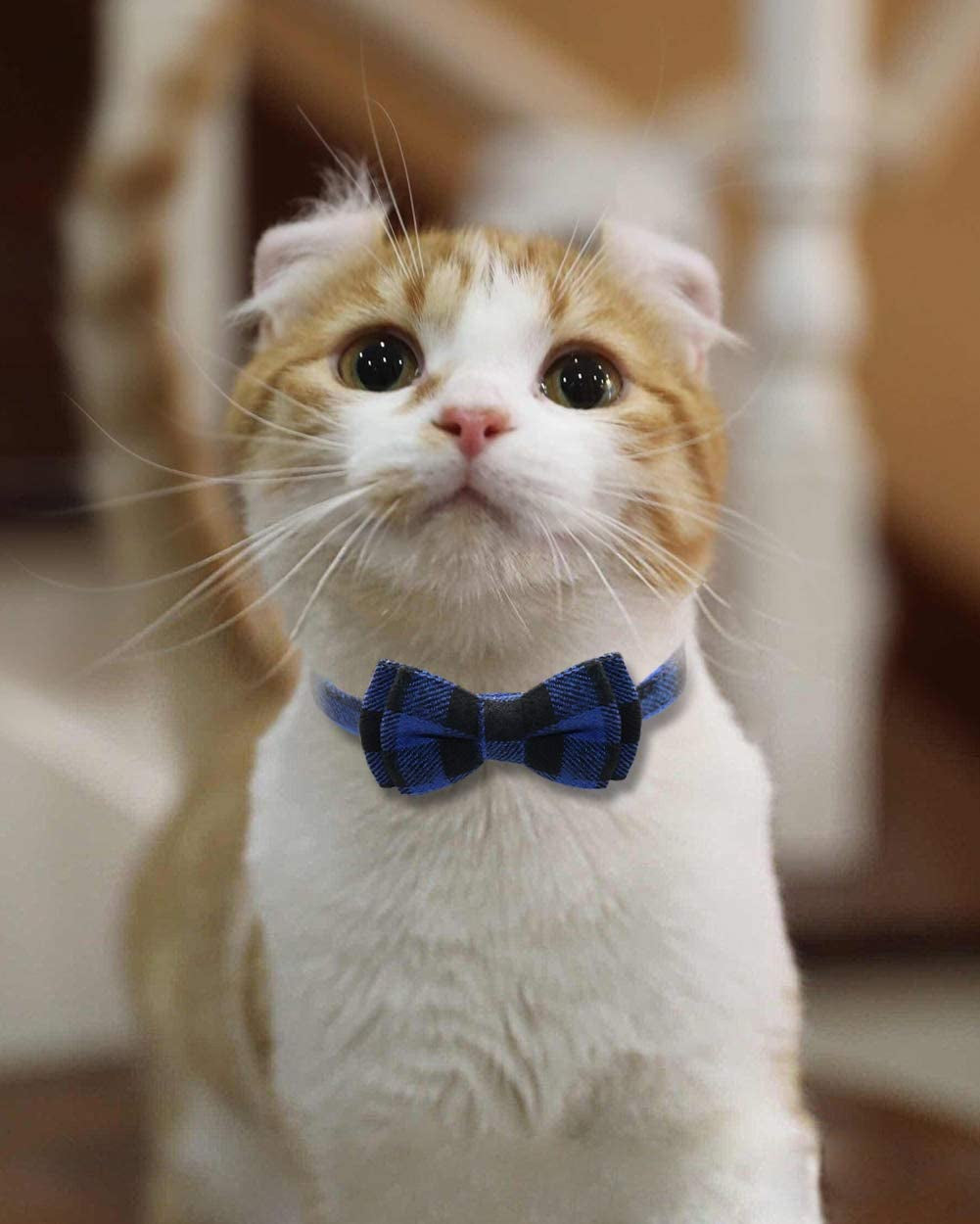 Upgraded Breakaway Cat Collar with Bow Tie and Bells, Safety Plaid Design for Kittens, Blue - 1 Pack