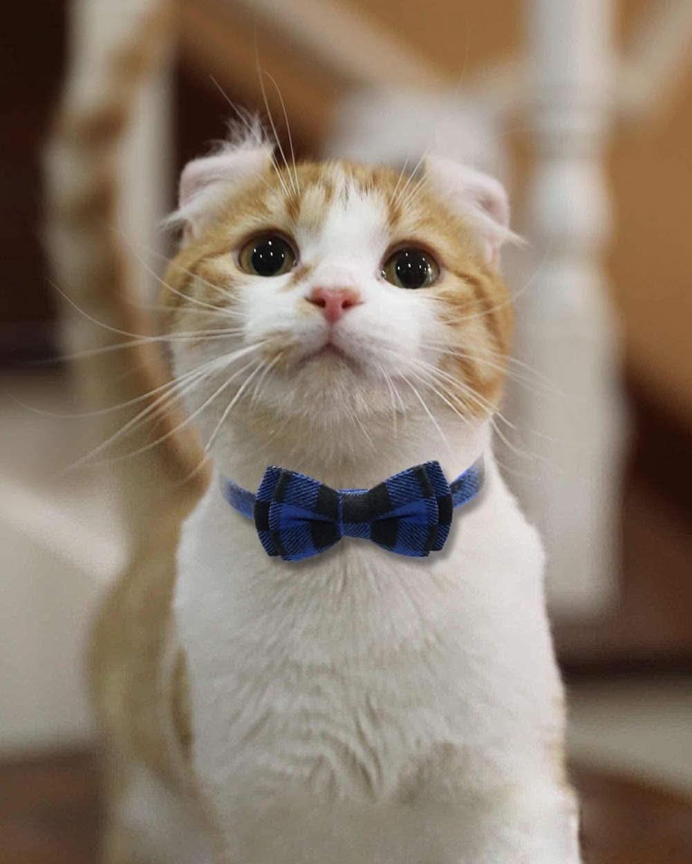 Upgraded Breakaway Cat Collar with Bow Tie and Bells, Safety Plaid Design for Kittens, Blue - 1 Pack