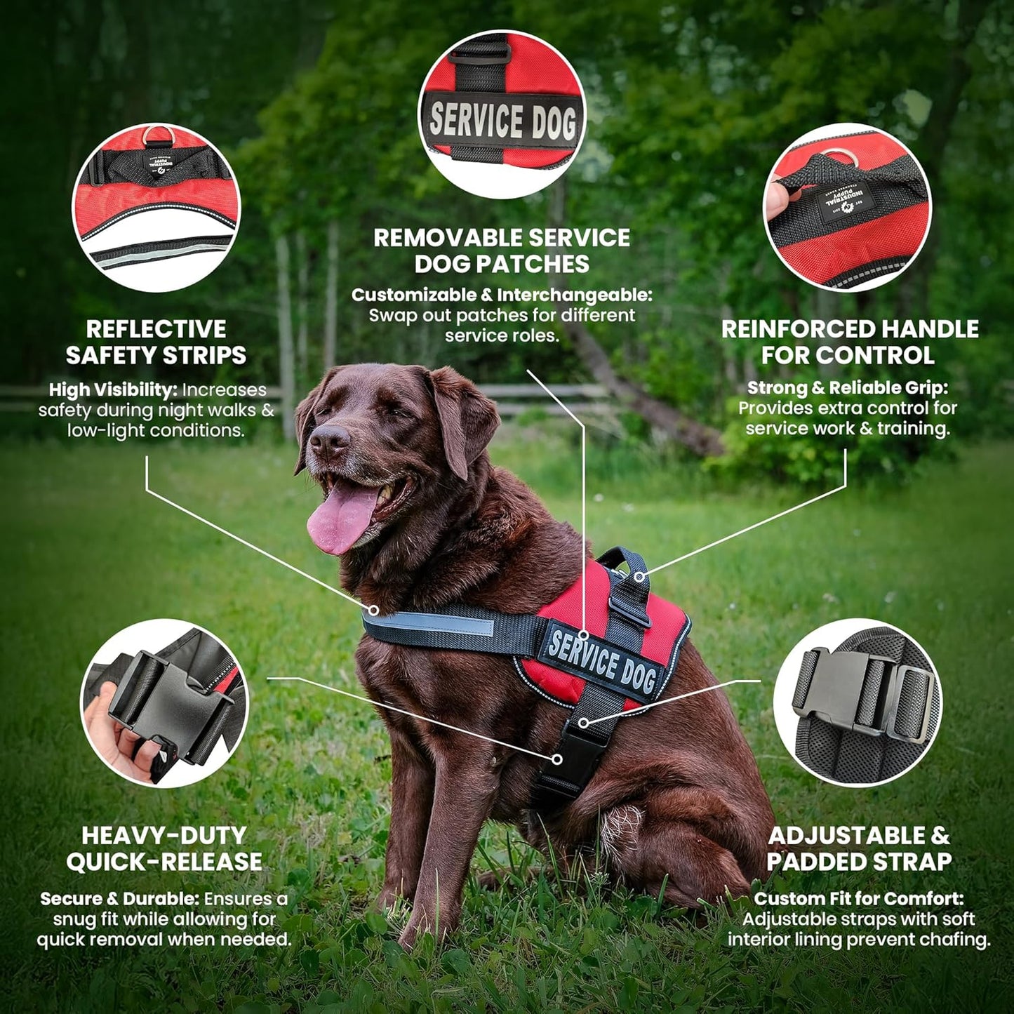 Service Dog Training Vest with Adjustable Hook and Loop Straps and Handle - Available in Sizes XXS to XXL - Features Reflective Patch and Comfortable Mesh Design
