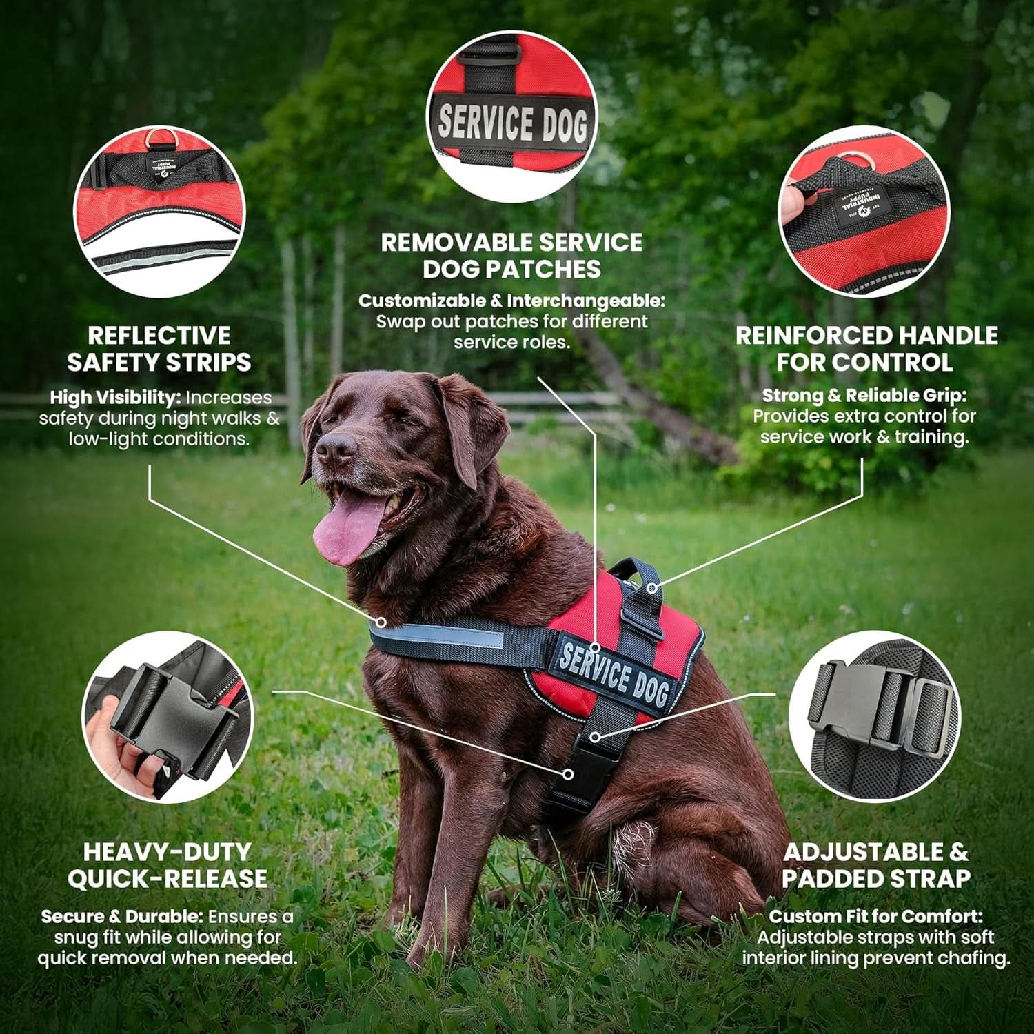 Service Dog Training Vest with Adjustable Hook and Loop Straps and Handle - Available in Sizes XXS to XXL - Features Reflective Patch and Comfortable Mesh Design
