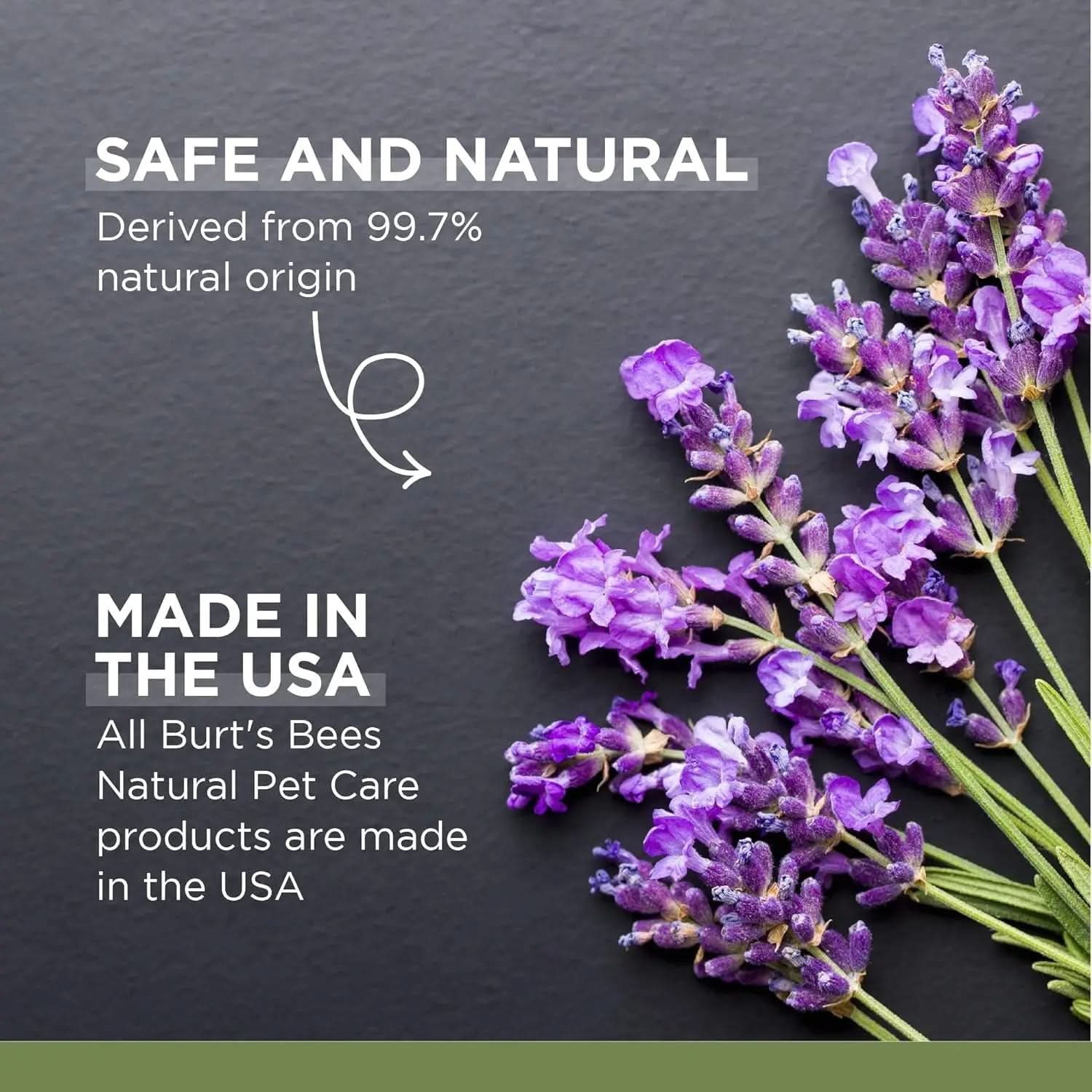Calming Dog Shampoo with Hemp Seed Oil and Lavender - 95% Natural Formula, Gentle Care for Dogs, 16 Oz