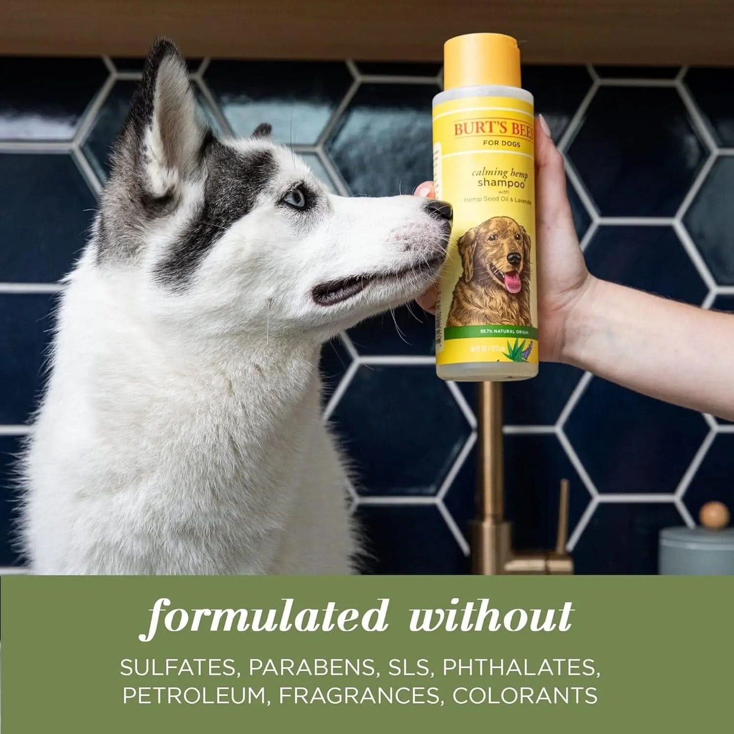 Calming Dog Shampoo with Hemp Seed Oil and Lavender - 95% Natural Formula, Gentle Care for Dogs, 16 Oz