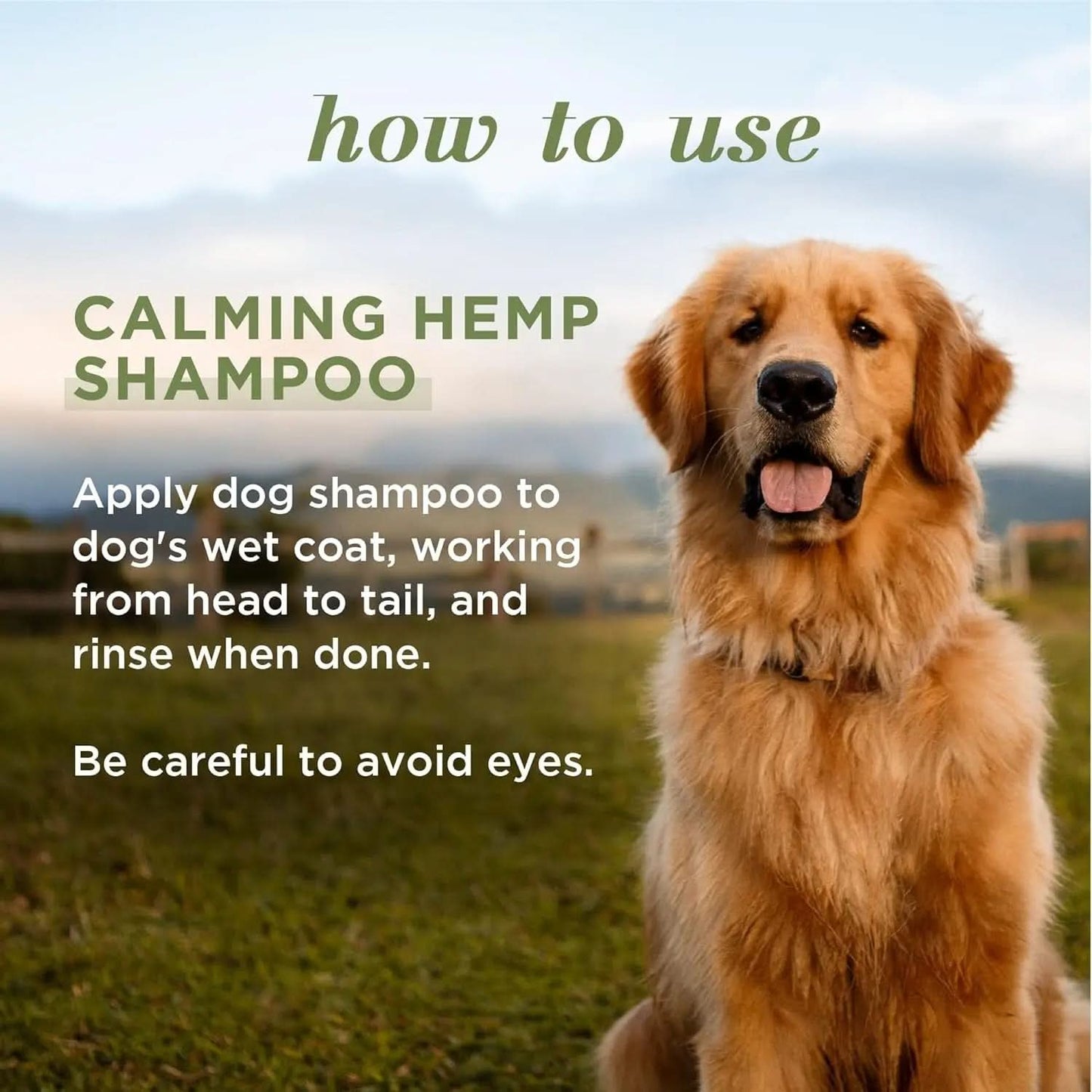 Calming Dog Shampoo with Hemp Seed Oil and Lavender - 95% Natural Formula, Gentle Care for Dogs, 16 Oz