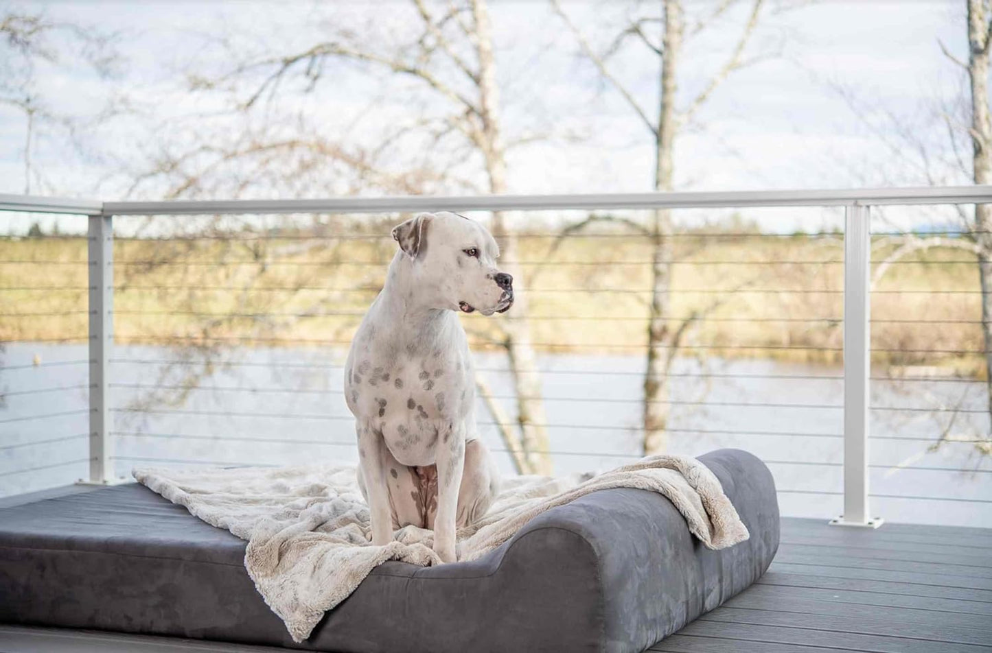 Barker Beds Extra Large Orthopedic Dog Bed with 7" Thick Cushion - Charcoal Microsuede Cover - Durable and Washable - Made in the USA