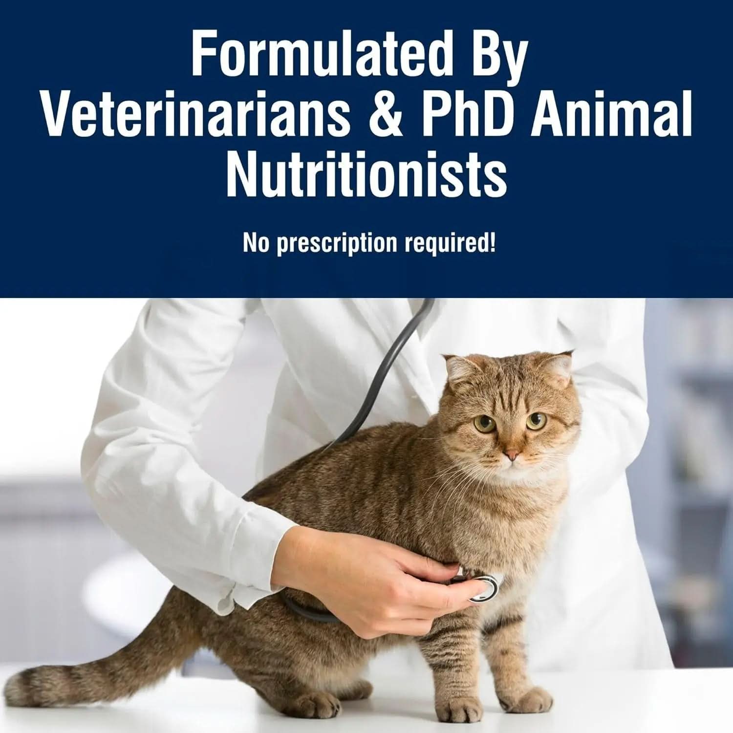 True Solutions Weight Control Natural Dry Cat Food for Adult Cats, Chicken Flavor, 11 lb Bag