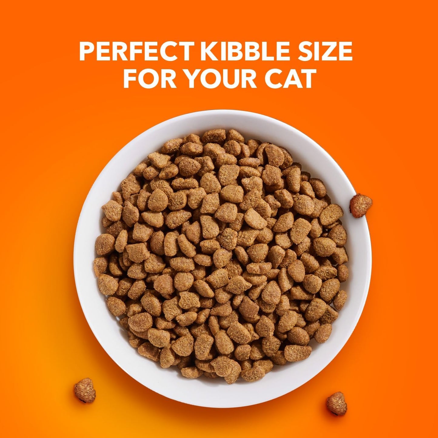Proactive Health Adult Dry Cat Food for Urinary Tract Health with Chicken, 16 lb. Bag