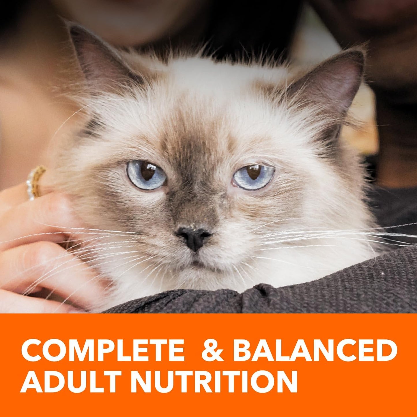 Proactive Health Adult Dry Cat Food for Urinary Tract Health with Chicken, 16 lb. Bag