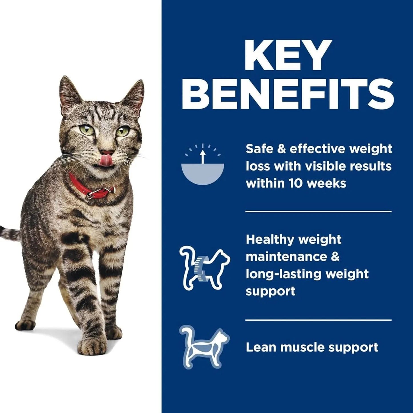 Perfect Weight Adult Dry Cat Food, Chicken Recipe, 3 lb Bag - Weight Management Support for Cats Aged 1-6